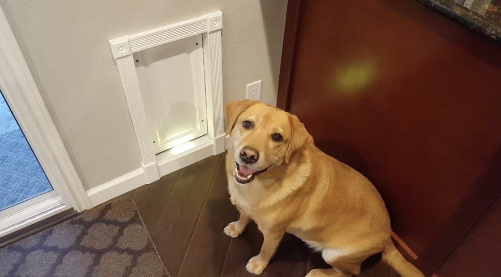 installing a pet door