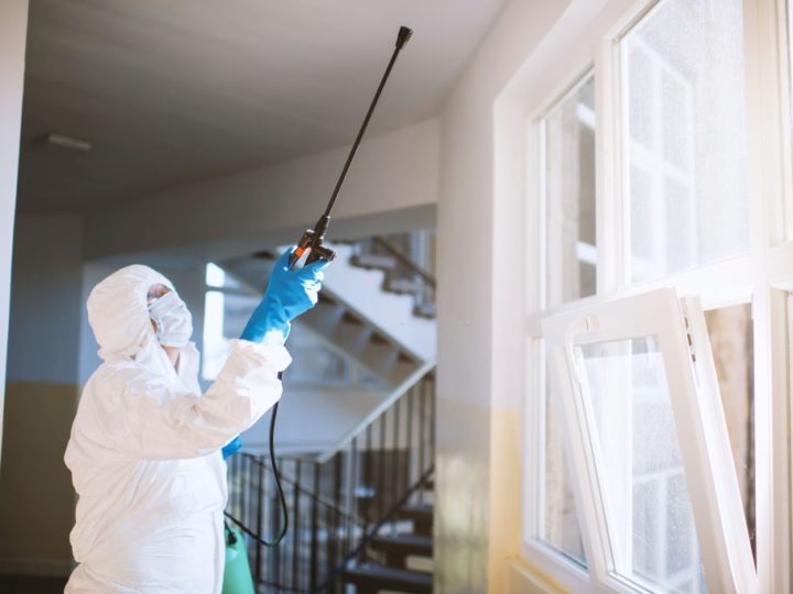 Things To Consider While Hiring Pest Control Services