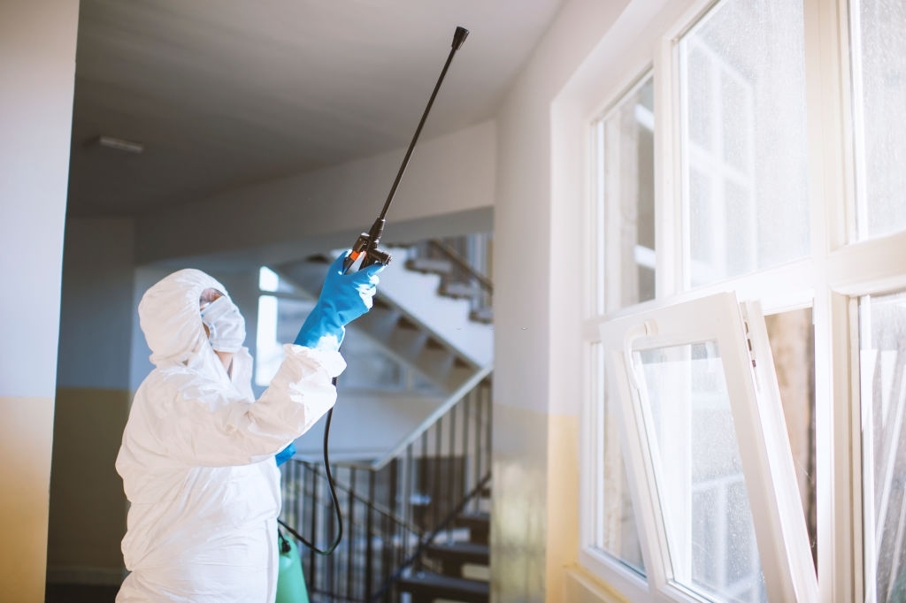 Things To Consider While Hiring Pest Control Services