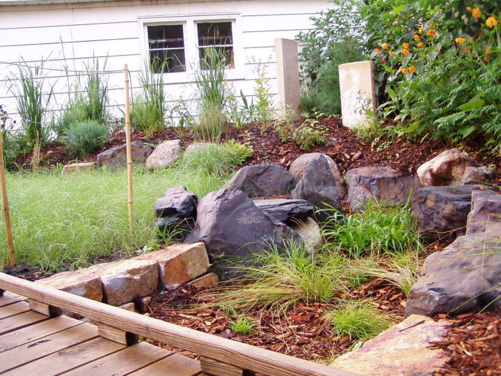 Complete Guide On How To Build A Rain Garden