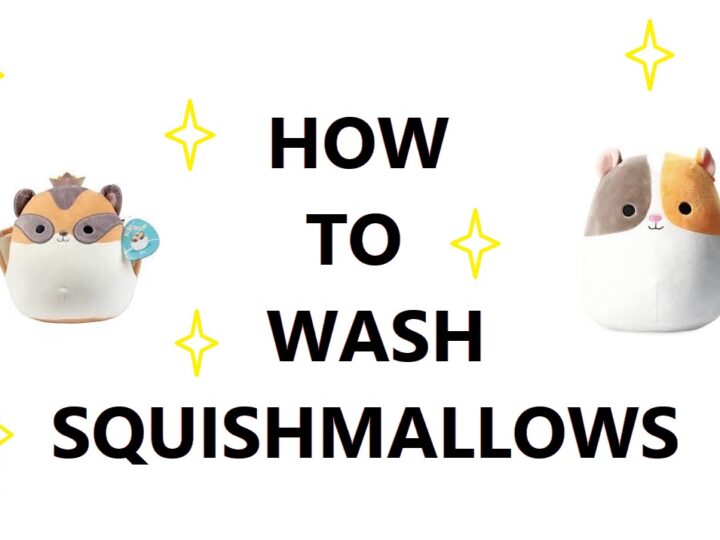 How To Wash Squishmallows