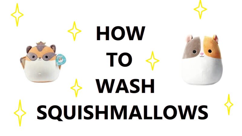 How To Wash Squishmallows