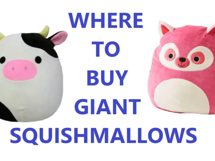 Where to Buy Giant Squishmallows?