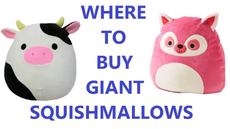 Where to Buy Giant Squishmallows?