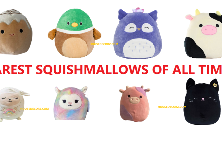 What is The Rarest Squishmallow?