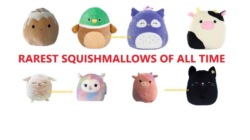 What is The Rarest Squishmallow?