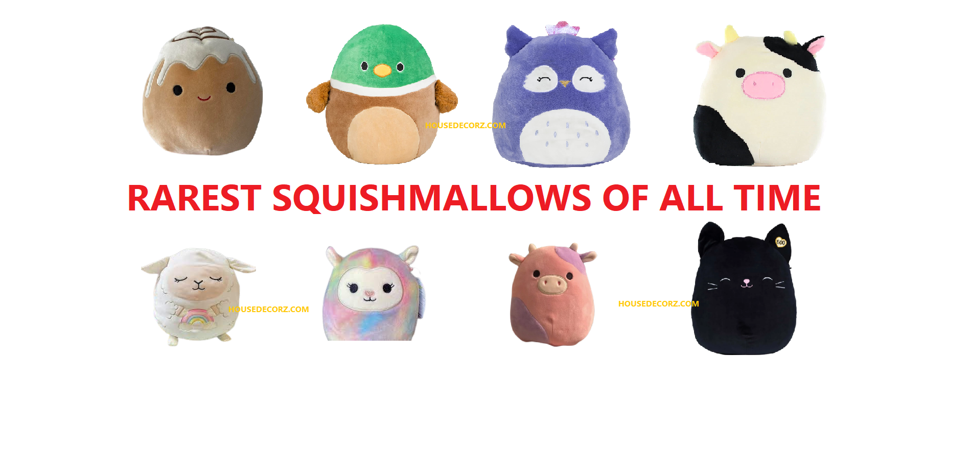 What is The Rarest Squishmallow?