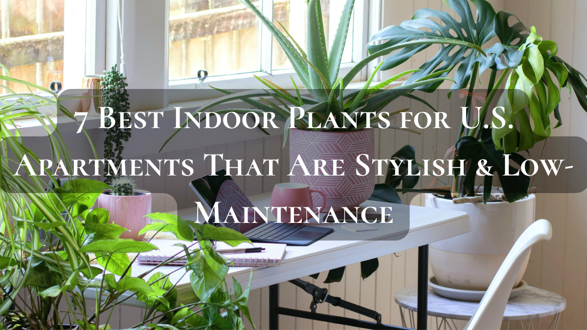 7 Best Indoor Plants for U.S. Apartments That Are Stylish & Low-Maintenance