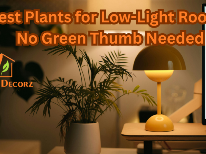 Best Plants for Low-Light Rooms: No Green Thumb Needed