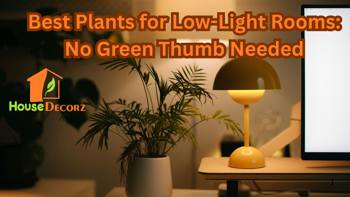 Best Plants for Low-Light Rooms: No Green Thumb Needed