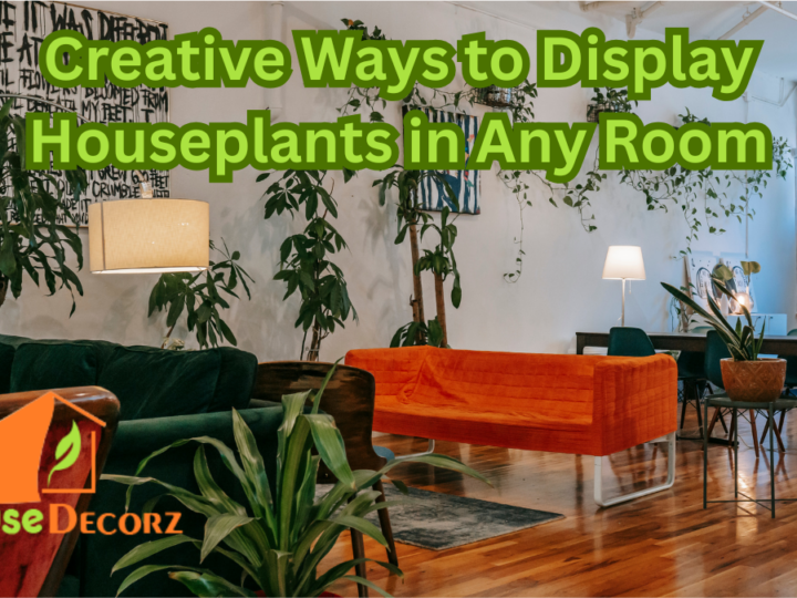 Creative Ways to Display Houseplants in Any Room