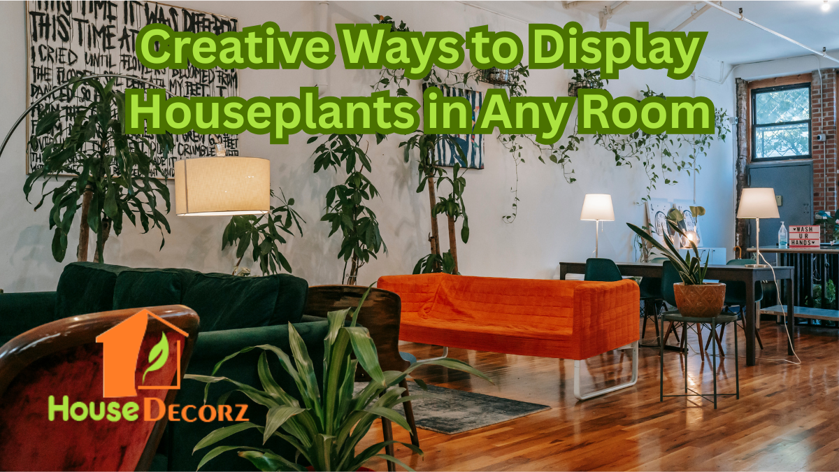 Creative Ways to Display Houseplants in Any Room