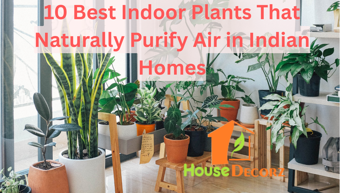 10 Best Indoor Plants That Naturally Purify Air in Indian Homes