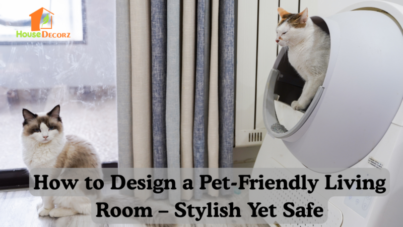 How to Design a Pet-Friendly Living Room – Stylish Yet Safe