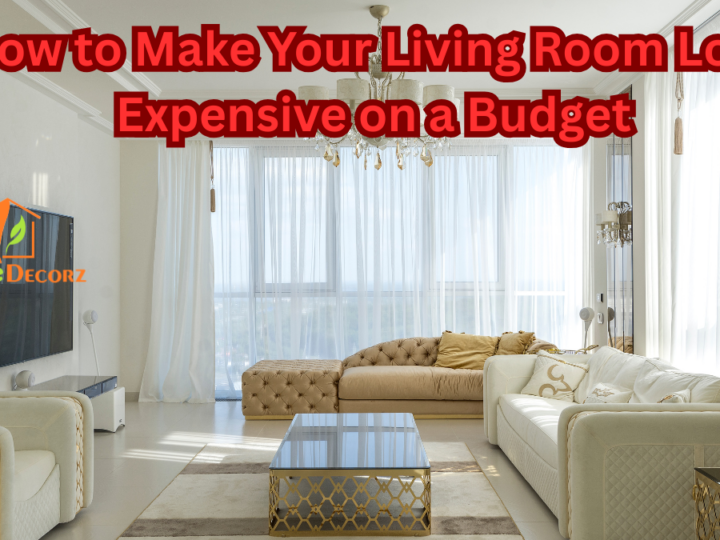 How to Make Your Living Room Look Expensive on a Budget