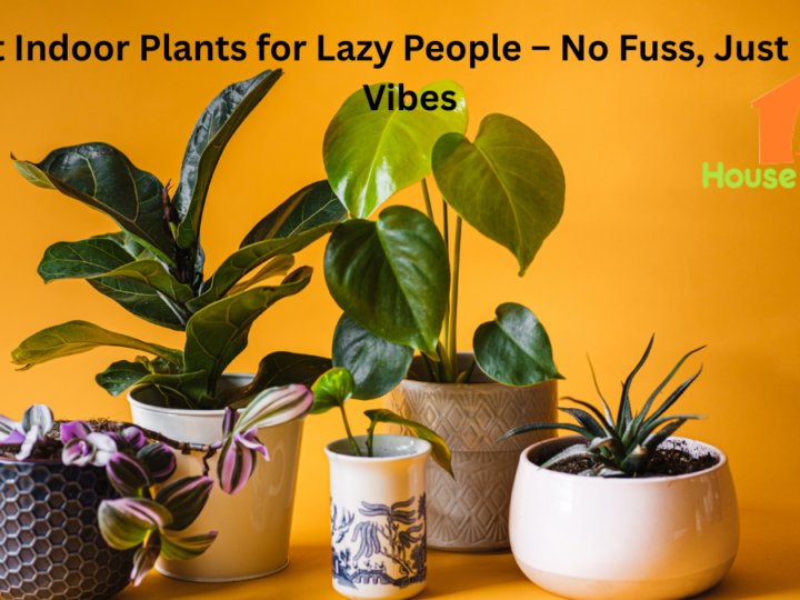 Best Indoor Plants for Lazy People – No Fuss, Just Fresh Vibes