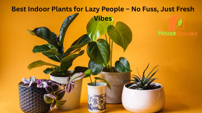 Best Indoor Plants for Lazy People – No Fuss, Just Fresh Vibes
