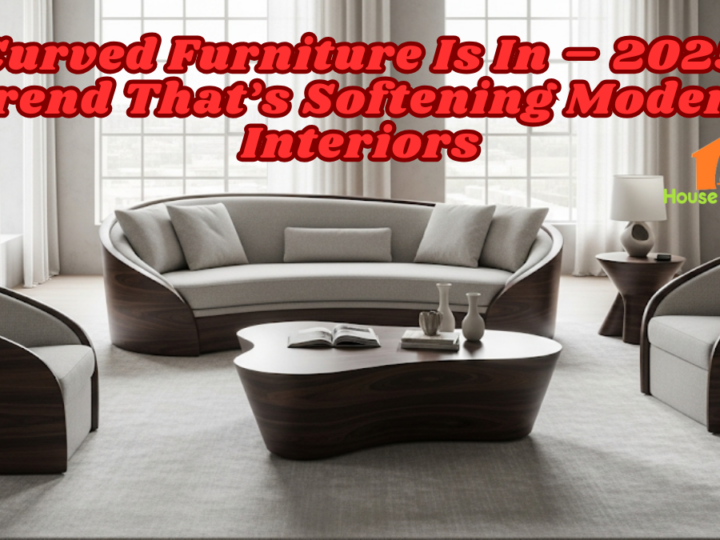 Curved Furniture Is In – 2025 Trend That’s Softening Modern Interiors