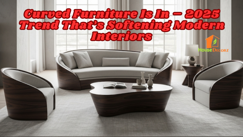 Curved Furniture Is In – 2025 Trend That’s Softening Modern Interiors